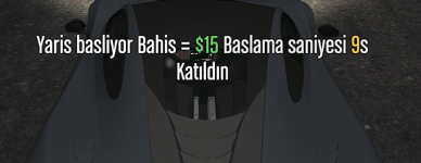 yarış başlıyor.png