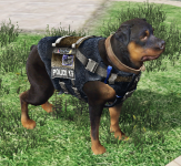 k9 sistemi.png