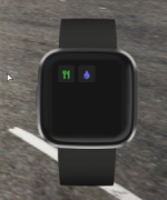 fitbit2.png