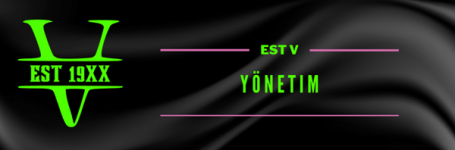 Pembe_Mavi_ve_Siyah_Gradyan_Twitch_Banner_1.png