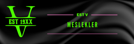 Pembe_Mavi_ve_Siyah_Gradyan_Twitch_Banner_3.png