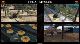 Legal Meslek Tanıtımı.png