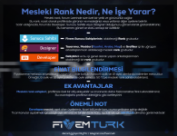 Mesleki Rank Nedir Ne İşe Yarar.png